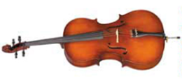cello instrument care