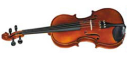 Violin Viola Instrument Care Icon